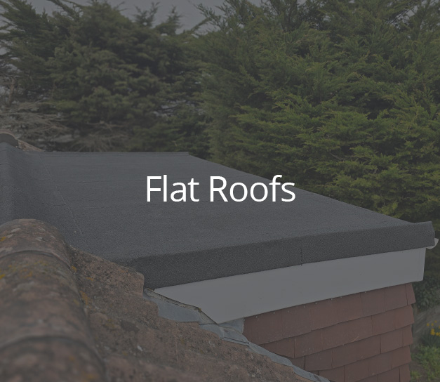 child-roofing-home-lozenges-flat-roofs-1